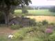 Schneverdingen Mo. 27.7.