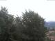 Gmund am Tegernsee Mo. 27.7.