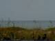 Cape Canaveral, Florida Mo. 27.7.