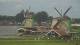 Zaanse Schans Mo. 27.7.