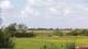 Nordstrand Mo. 27.7.