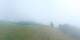 Morgins Mo. 27.7.