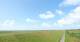 Westerhever Mo. 27.7.