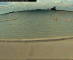 Farmoor Mo. 27.7.