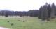 Seefeld in Tirol Mo. 27.7.