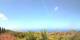 Puntagorda (La Palma) Mo. 27.7.