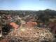 Bad Waldsee Di. 28.7.