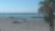 Cap d'Agde Di. 28.7.