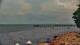 Bokeelia, Florida Di. 28.7.