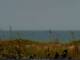 Cape Canaveral, Florida Di. 28.7.