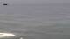 Ericeira Di. 28.7.