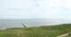 Nebel (Amrum) Di. 28.7.