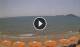 Formia Di. 28.7.