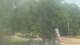Fairview, Tennessee Mi. 29.7.