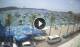 Marsaxlokk Mi. 29.7.