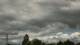 Hewlett, New York Mi. 29.7.