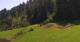 Going am Wilden Kaiser Mi. 29.7.
