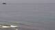 Ericeira Mi. 29.7.