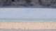 Henne Strand Mi. 29.7.