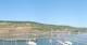Bingen am Rhein Mi. 29.7.