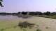 Les Landes-Genusson Mi. 29.7.