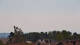 Owingen Mi. 29.7.