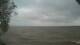 Webster, New York Mi. 29.7.