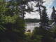 Hoel Pond, New York Do. 30.7.