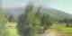 Barcelonnette Do. 30.7.
