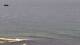 Ericeira Do. 30.7.