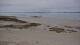 Carnac Do. 30.7.