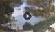 Fiascherino Do. 30.7.