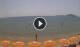 Formia Do. 30.7.