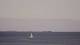 Saint-Gildas-de-Rhuys Fr. 31.7.