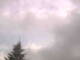Hagenow Fr. 31.7.