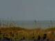 Cape Canaveral, Florida Fr. 31.7.