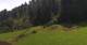 Going am Wilden Kaiser Fr. 31.7.
