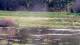 Les Landes-Genusson Fr. 31.7.