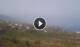 El Sauzal (Teneriffa) Fr. 31.7.