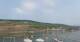 Bingen am Rhein Fr. 31.7.