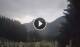 Bardonecchia Fr. 31.7.