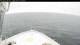 Norwegian Bliss Fr. 31.7.