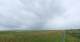 Westerhever Fr. 31.7.