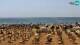 Bibione Fr. 31.7.