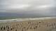 Norderney Fr. 31.7.