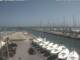 Cervia Fr. 31.7.
