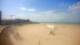 Berck-sur-Mer Fr. 31.7.