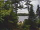 Hoel Pond, New York Sa. 1.8.