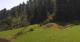 Going am Wilden Kaiser Sa. 1.8.