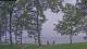 Houghton Lake, Michigan Sa. 1.8.